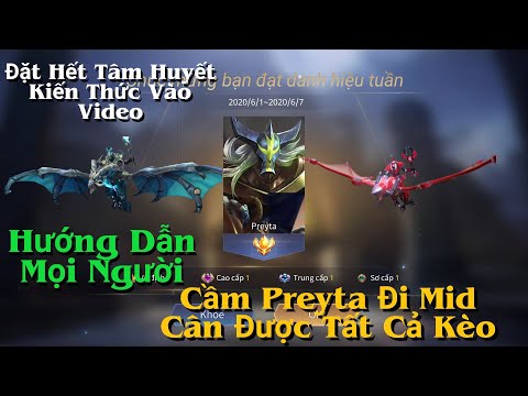 Video Đặt Tất Cả Tâm Huyết Kiến Thức Hướng Dẫn Cầm Preyta Đi... - youtube