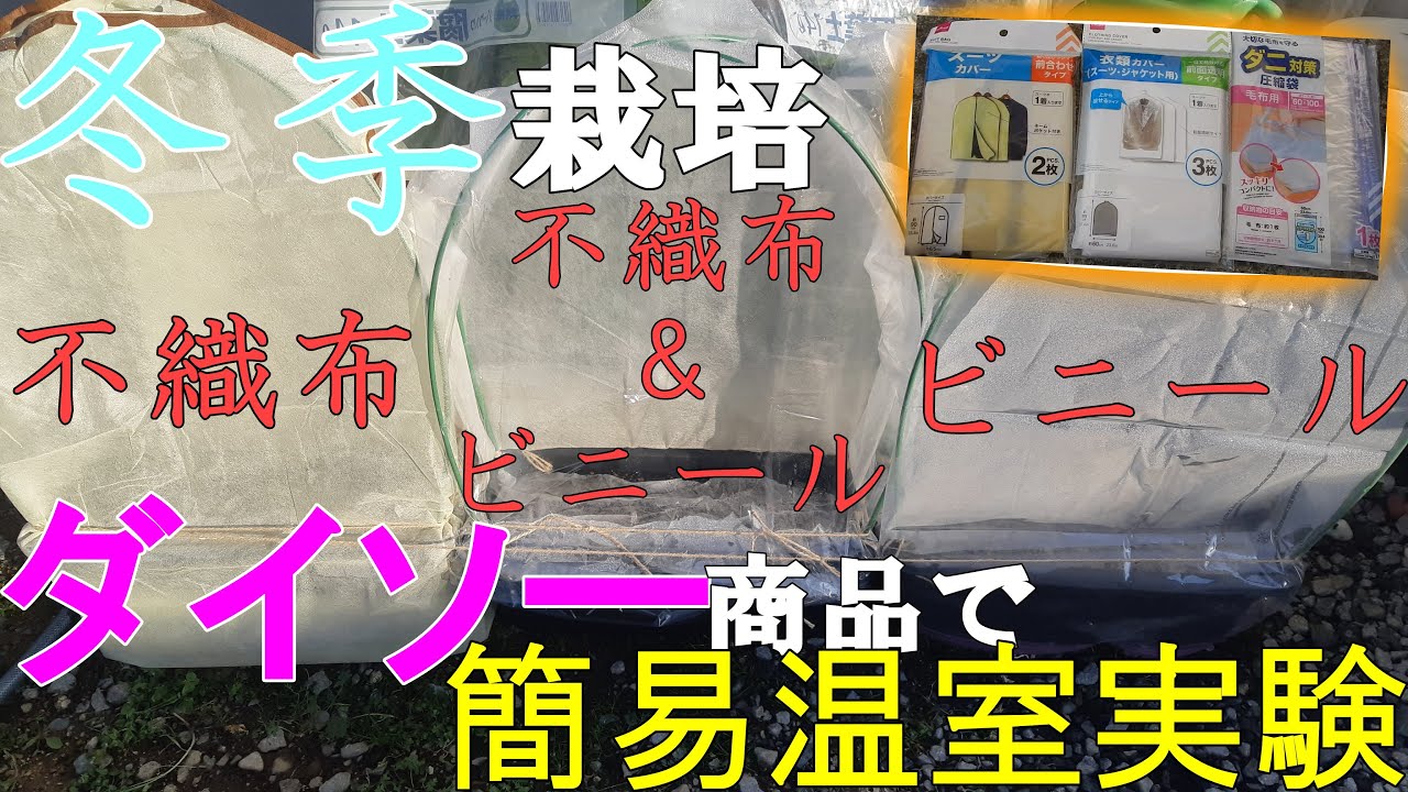 百均 ダイソーで防虫ネット代用品を見つけたので小松菜を育ててみた プランター I Found An Insect Repellent Net At A 100 Yen Shop Youtube