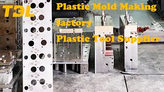 TDLmold is a plastic mold supplier for OEM manufacturing high quality tool making factory automotive