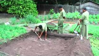 Maldives Tourism Adaptation Documentary