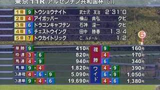 2006年 アルゼンチン共和国杯（ＧⅡ） トウショウナイト