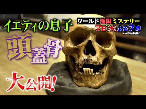 世界初！雪男イエティひ孫をDNA検査!!『ワールド極限ミステリー』12/7(水)【TBS】