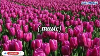 Selfi Yamma - Harus Bagaimana | ( Lirik )