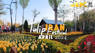 Fear of war? Are you kidding? People in IRAN are peacefully enjoying the Tulip Festival in Karaj |4K