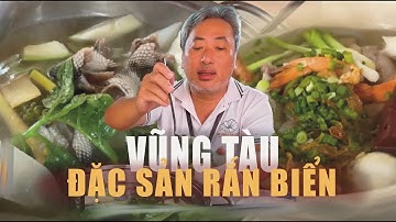 Đặc Sản Rắn Biển  Vũng Tàu | Đạo diễn Nguyễn Quang Dũng