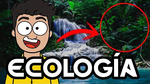 ¿Cuál es el objetivo de estudio de la ecología?