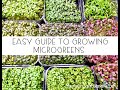 Growing Your Own Micro Greens - Easy Grow Kit (Spicy Mix)