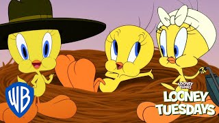 Looney Tuesdays | Best of Tweety from Looney Tunes Cartoons | Looney Tunes | @WB Kids
