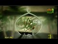 رمضان قناة الرحمة
