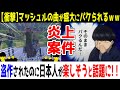 【海外の反応】マッシュルの歌が海外でパクられ炎上「なぜか日本人は楽しそうｗ」として海外で話題に