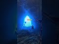 Unexplained Files #37: 700 Feet Reveals Terrifying New Species