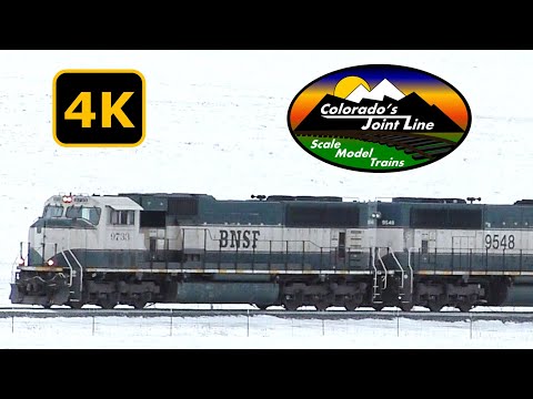 Colorado Winter BNSF & UP Trains - Jan 2019