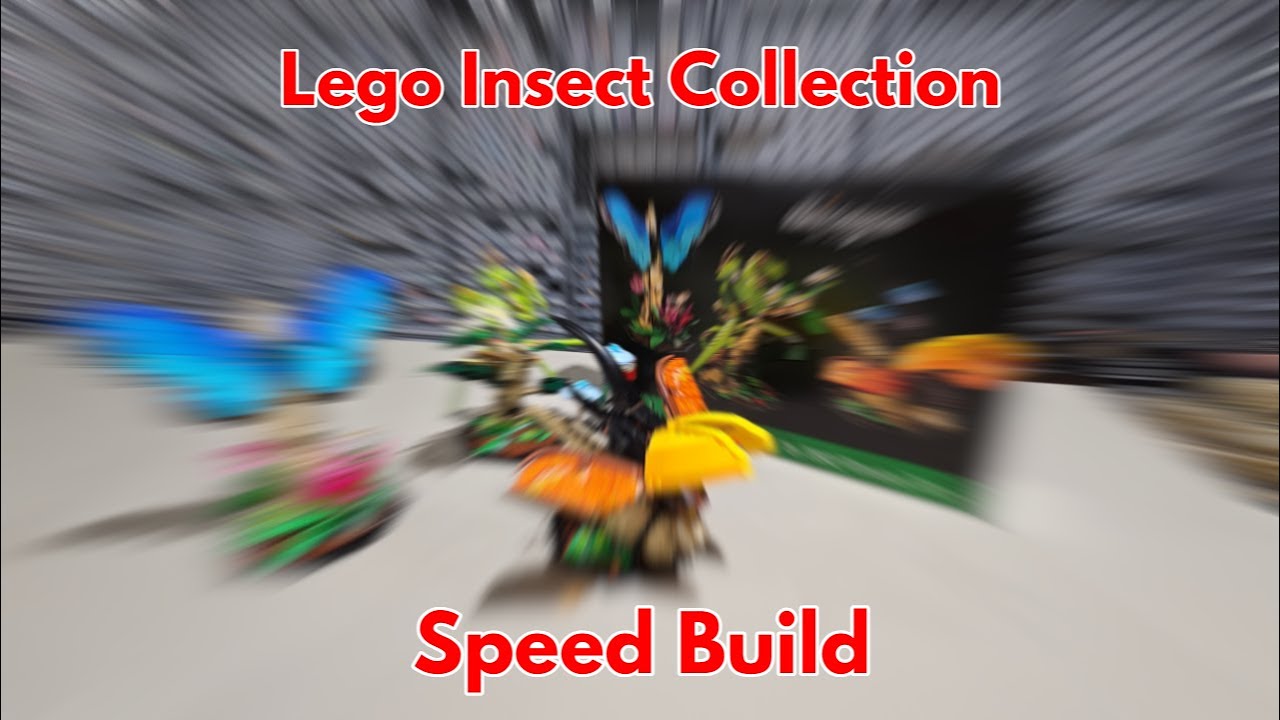 LEGO Insect Collection - Speed Build | 21342 - YouTube