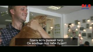 Котейские игры  День 3  Прыжки в длину