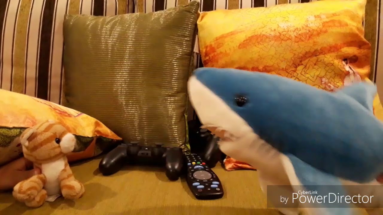 Timmy Kins Wants a Watch