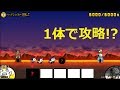 にゃんこ大戦争 このキャラ1体で攻略！？狂乱のウシ降臨！超激ムズ