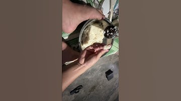 Bài mồi câu cá dìa