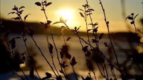 قل لمن ما في السماوات والأرض  ||  القارئ حاتم فريد