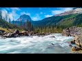 Nature Sounds - Mountain Water Stream and Birds - White Noise for Sleeping Black Screen 10 Hours