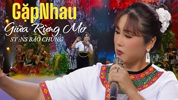 GIỌNG CA ĐỘC LẠ-GẶP NHAU GIỮA RỪNG MƠ- ST: BẢO CHUNG - TH:THÁI HẰNG NGA