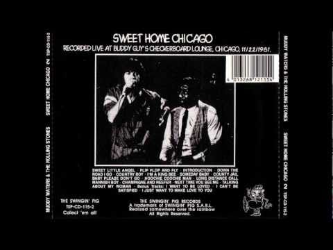 Muddy Waters & Rolling Stones - Mannish Boy (live @ Chicago, 22.11.1981)