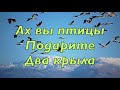 Я в небо смотрю как птицы летят