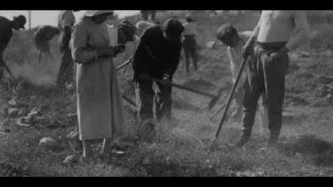 Songs of the Halutzim and the Early State of Israel (Part 1) || Dr. Moshe Sokolow