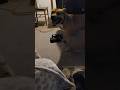 spinnas 1