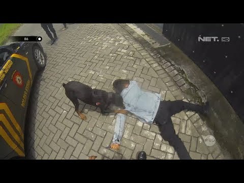 Video: Polis Membanting Anjing Takungan