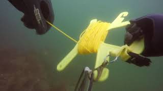 Scuba Diving Cape Cod for Lobster Sandwich, MA 2017