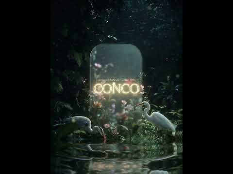 CON CÒ (Melodic Techno) | vietlouis || Original Mix