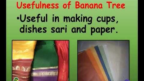 VCP-std8-sem2-Rev-Epi-5(77)-Act9A(1,2,3)-10042017