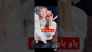 تيك توك صوت للقطط باو باو باو باو