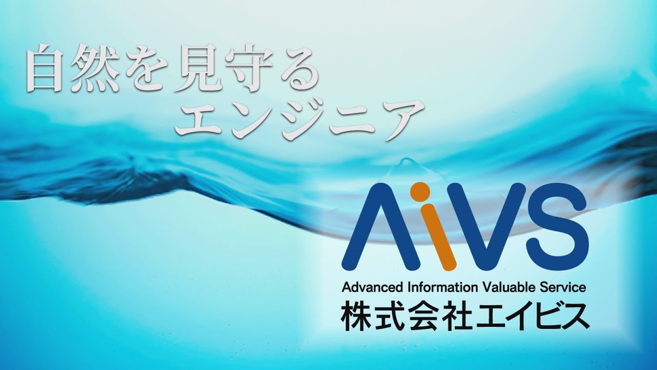 株式会社エイビス ソフトウェア開発 ネットワーク構築