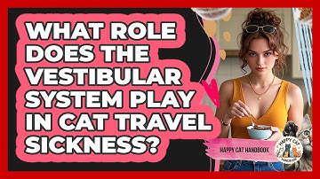 What Role Does The Vestibular System Play In Cat Travel Sickness? - Happy Cat Handbook
