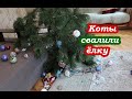 VLOG  Я в шоке 😱 Коты свалили ёлку 🙆