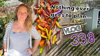 A Realistic few days on the Allotment. Ep338 || Plot 37