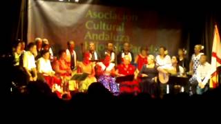 Video-Miniaturansicht von „coro rociero jara y retama“