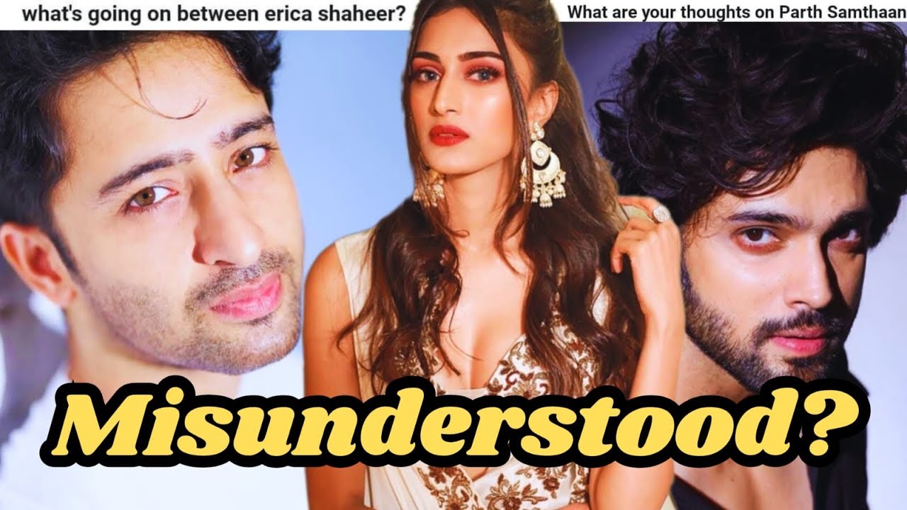 Why ERICA FERNANDES Was MISUNDERSTOOD? What Really Happened With SHAHEER SHEIKH & PARTH SAMTHAAN?
