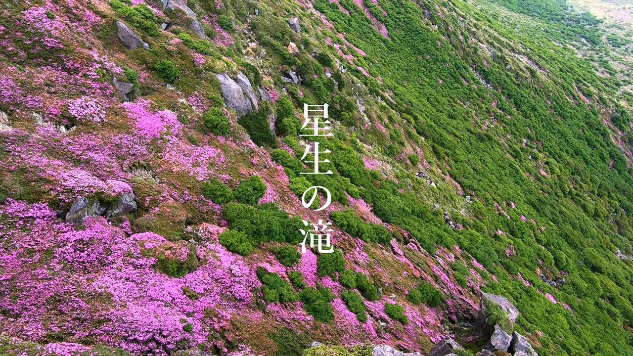 Hoshio Falls] Hoshoyama Mountain with its Miyama Kirishima azaleas