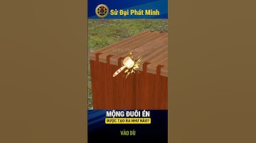 MỘNG ĐUÔI ÉN Tinh Tế #chetao #thợmộc #mộnggỗ #shorts