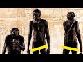 A Brief History Of The Star-man: Homo Naledi | Homo Species