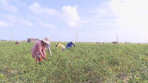 Hiệu quả từ quỹ đồng tài trợ thích ứng biến đổi khí hậu