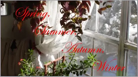 Spring, Summer, Autumn & Winter ~ Elegance of Pachelbel ~ Serenade 🌺🍃 ⁀,)