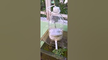 Lọc cặn cho bể cá mini giá rẻ