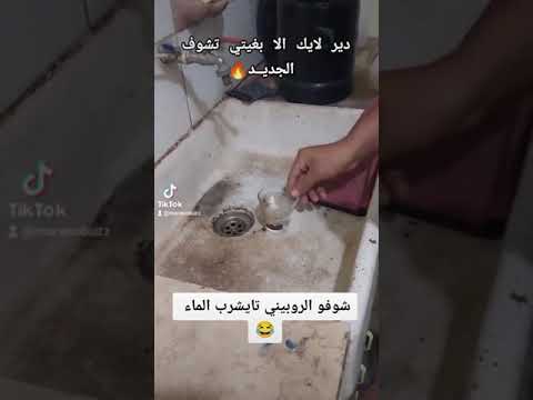 الحنفية تشرب الماء 