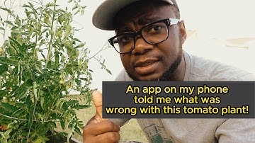 How AI is redefining crop disease diagnostics