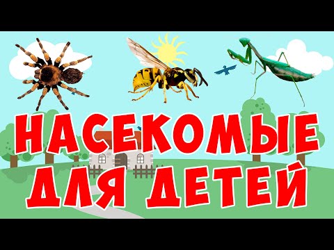 Учим насекомых | развивающий мультфильм | животные для детей