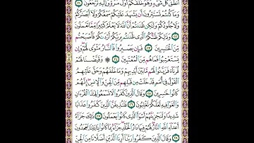 سورة فصلت مكتوبة