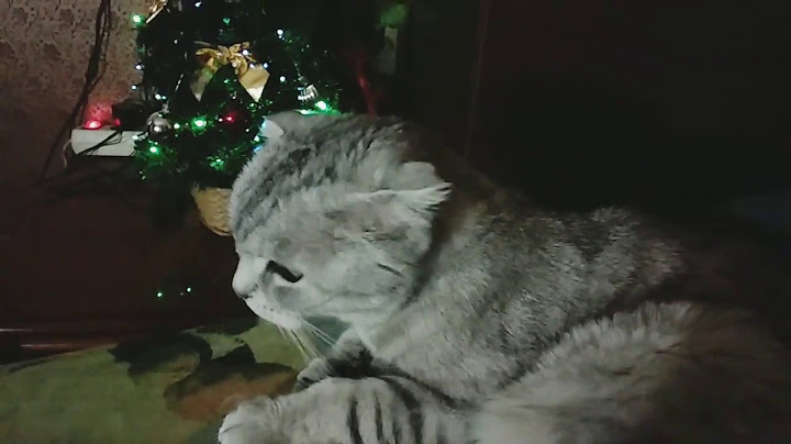 Сердитая Нюша 🙀 Angry Nyusha